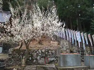 英彦山神宮(福岡県)
