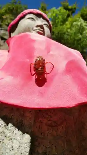 龍峰院の地蔵