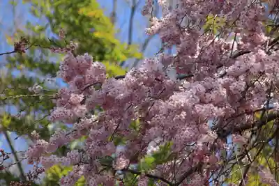 熊野神社の自然