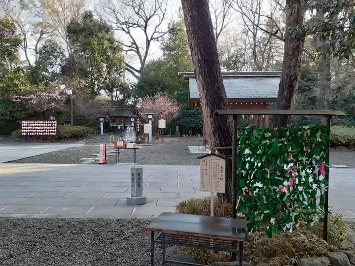 櫻木神社の自然