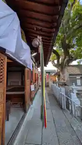 阿保神社(大阪府) 2026年05月18日(月)〜(2026年05月07日(木) 19時31分13秒投稿)