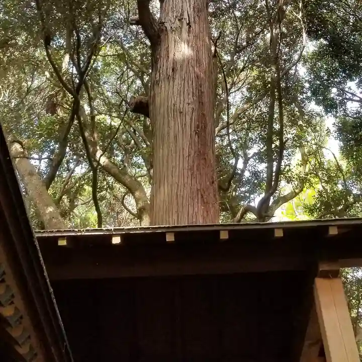 金砂神社のその他建物