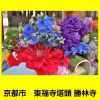 勝林寺の手水舎