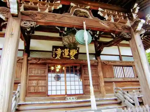 妙蓮寺の本殿・本堂