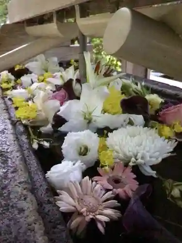 鳩森八幡神社(東京都)