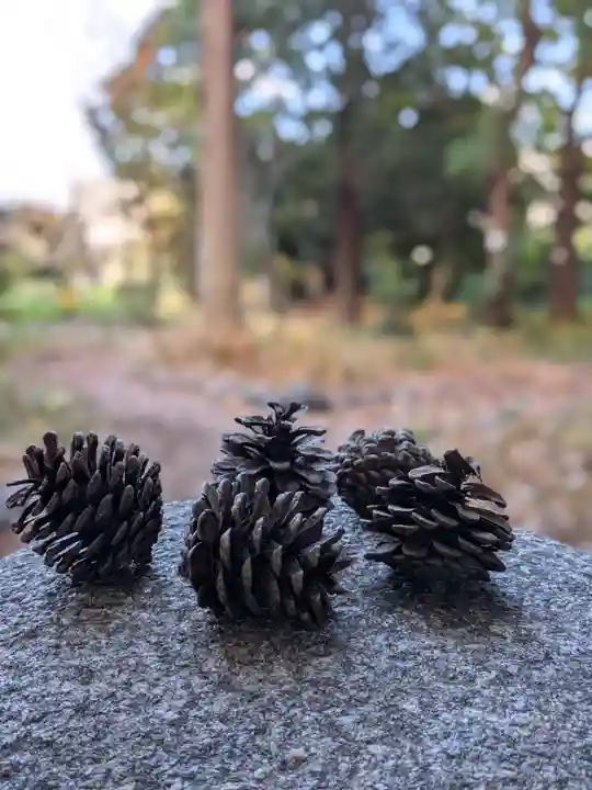 布多天神社(東京都)
