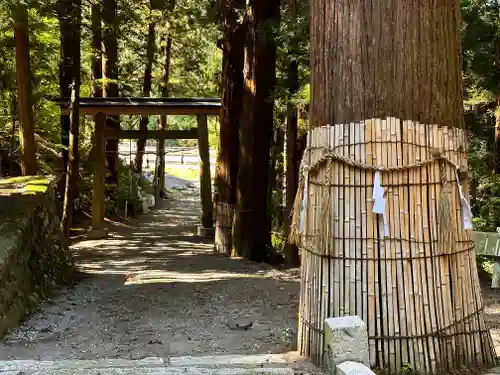 田沢神明宮(長野県)