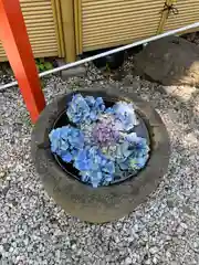 蛇窪神社(東京都)