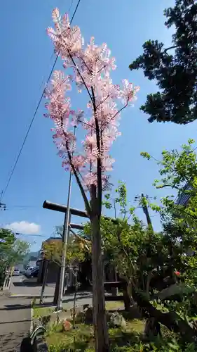 福島大神宮の自然