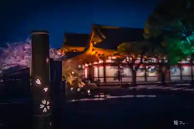 東寺（教王護国寺）(京都府)