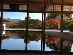 宝徳寺の庭園