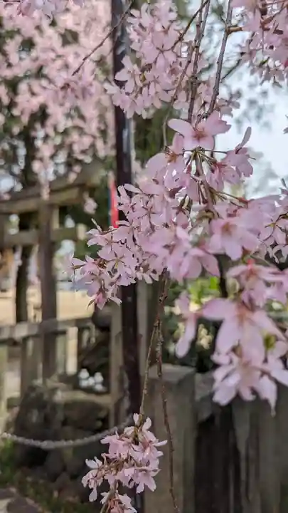 水火天満宮(京都府)