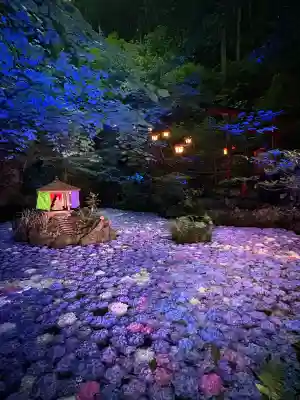 南蔵院(福岡県)