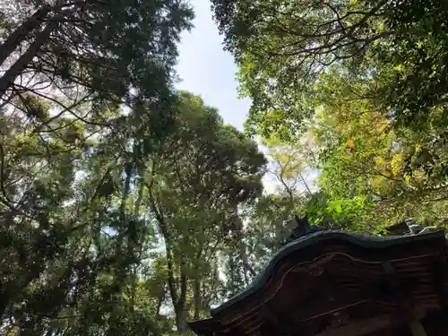 大日天子堂の自然