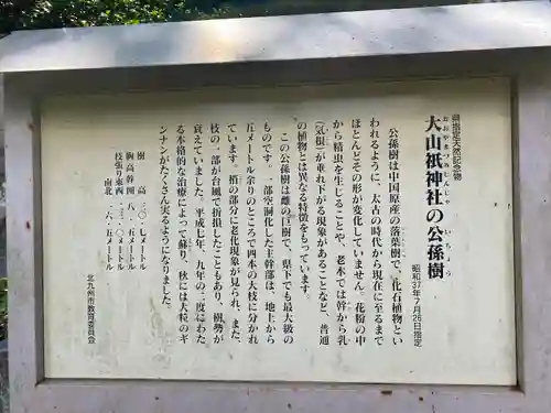 大山祇神社の歴史