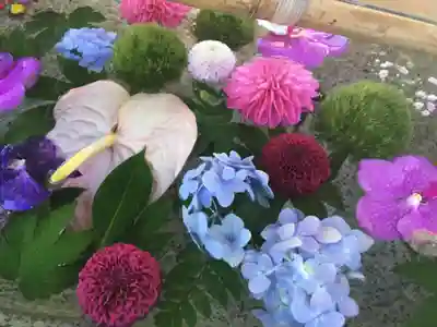 住吉神社の手水舎