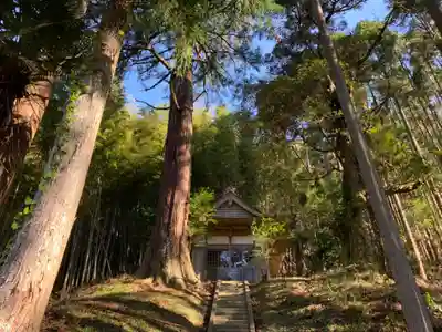天照神社の本殿・本堂