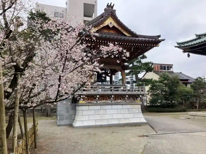 専光寺(石川県)