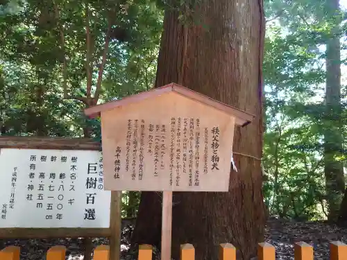 高千穂神社(宮崎県)