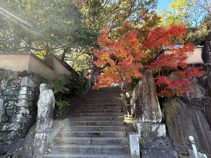 浄瑠璃寺(愛媛県)
