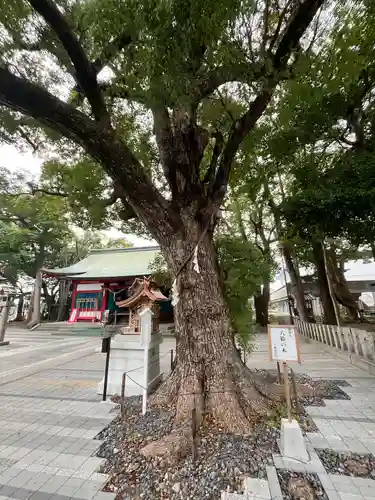 大依羅神社(大阪府)