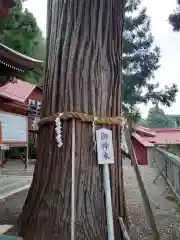 鼬幣稲荷神社(岩手県)