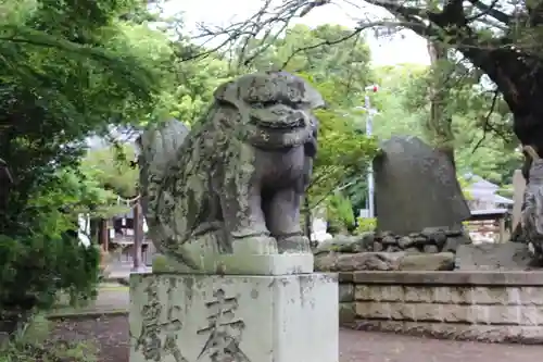 鶴谷八幡宮の狛犬