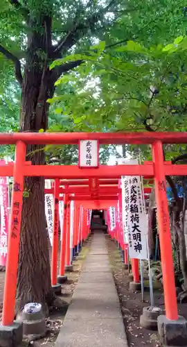 武芳稲荷神社の鳥居