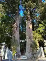 夏井諏訪神社(福島県)