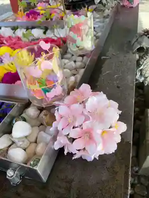 美濃國一宮　南宮大社の手水舎