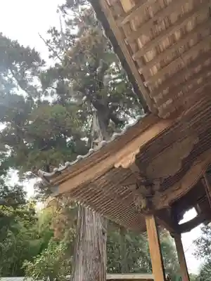 辛神社(千葉県)