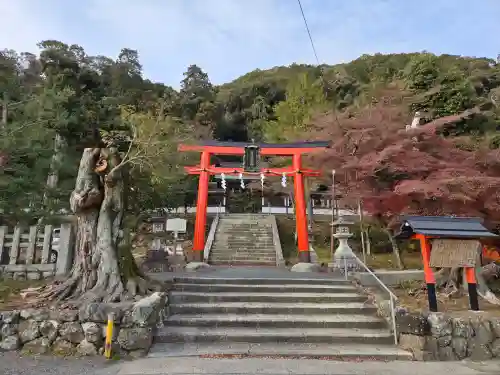 月読神社（松尾大社摂社）の鳥居