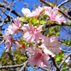 長福寺(愛知県)