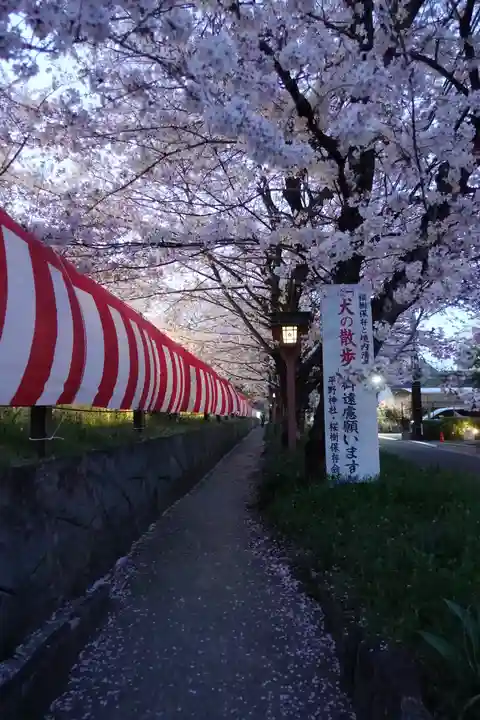 平野神社の自然
