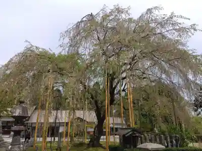 足羽神社(福井県)