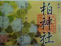 柏神社の御朱印