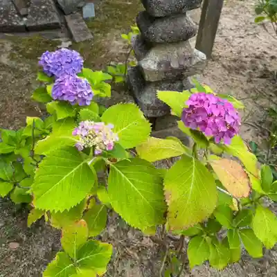 伊勢の国 四天王寺(三重県)