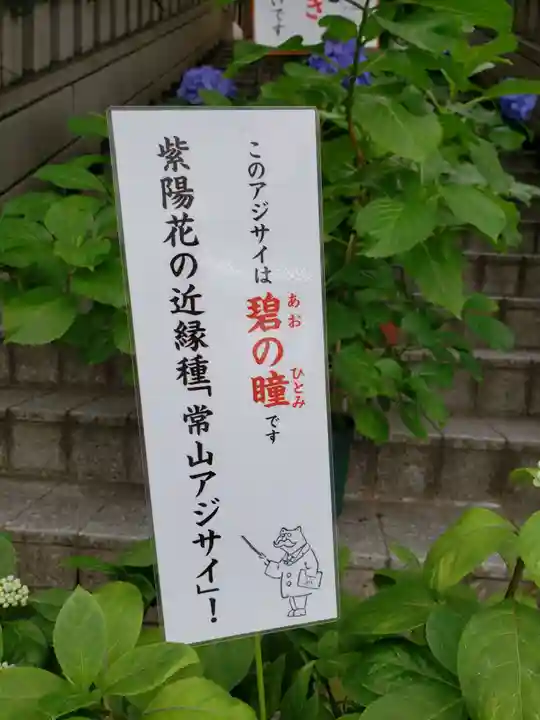 十番稲荷神社のその他建物