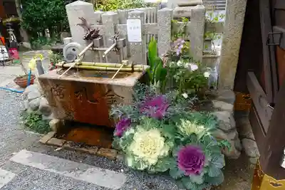 金札宮の手水舎