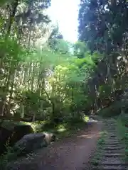 名草厳島神社の自然