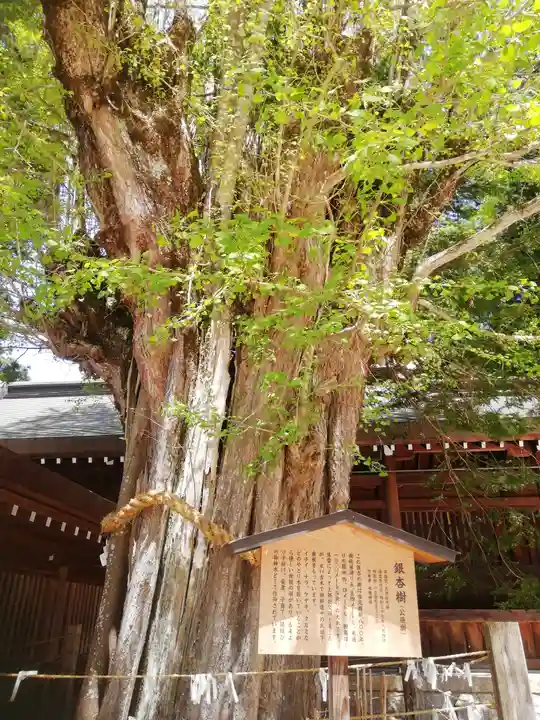 飛驒一宮水無神社(岐阜県)