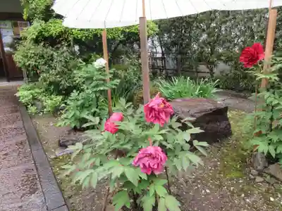 國分寺(高知県)