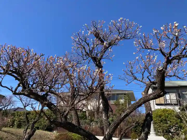 宝前院(神奈川県)