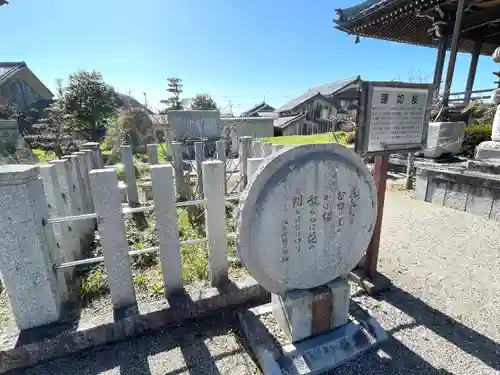 照光寺(滋賀県)