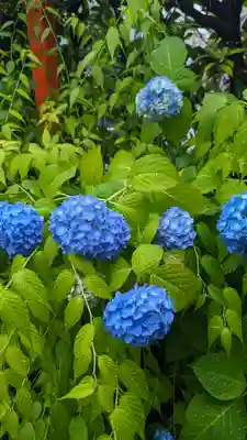 松尾大社西七条御旅所(京都府)