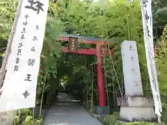 來宮神社(静岡県)