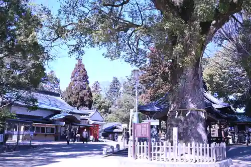 挙母神社のその他建物