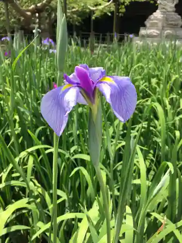 宮地嶽神社の自然