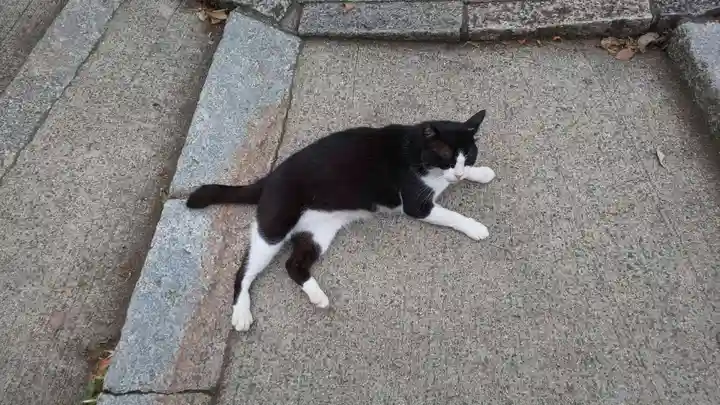 末廣神社の動物