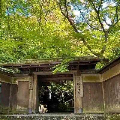 光明寺瑠璃光院(京都府)